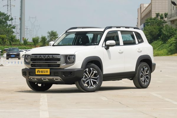 Haval Dog